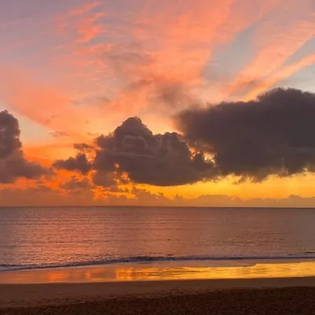 Maison 3 Sur Dune A 50 M De La *