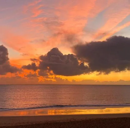 Maison 3 Sur Dune A 50 M De La *